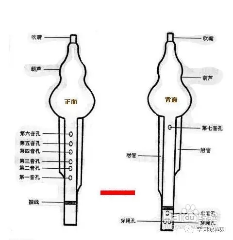 葫芦丝的学习的入门知识