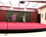 戏曲表演《档马》