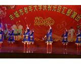 2019.12.28庆祝元旦汇演 柔力球 《最美