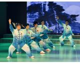 陈式太极拳表演风采