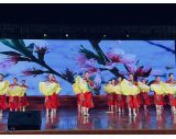 秧歌舞专业表演“新春乐”