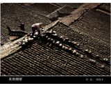 一等奖   邹才保       《未雨绸缪》