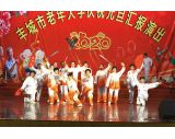 2019.12.28庆祝元旦汇演 陈氏太极 《陈氏