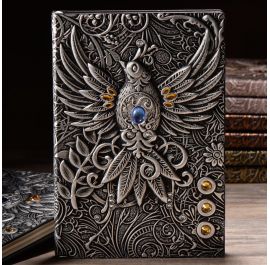 Phoenix notebook